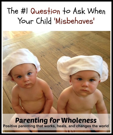 Article: The 1 Question to Ask When Your Child Misbehaves by Eliane of Parenting For Wholeness ~ Positive parenting that works, heals, and changes the world.